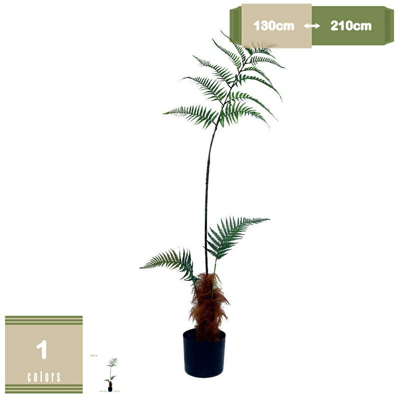 777円OFFクーポン フェイクグリーン シダ植物 鉢植え 大型 観葉植物 インテリアグリーン 人工観葉植物 造花 かわいい リアル 花粉・虫害の心配なし お手入れ不要 おしゃれ ハワイアン インテリア カフェ キッチン リビング 贈り物 開店祝い 新築祝い お祝い mysco