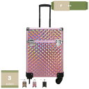 1000円OFFクーポン キャスター付き メイクキャリーケース コスメボックス 業務用 ロック付き 大容量 業務用化粧ケース 仕切り付き ネイル収納ツールボックス 美容師 出張 旅行用 耐久性 簡単に開閉 プレゼント 収納ケース プロ メイクバッグ mysco