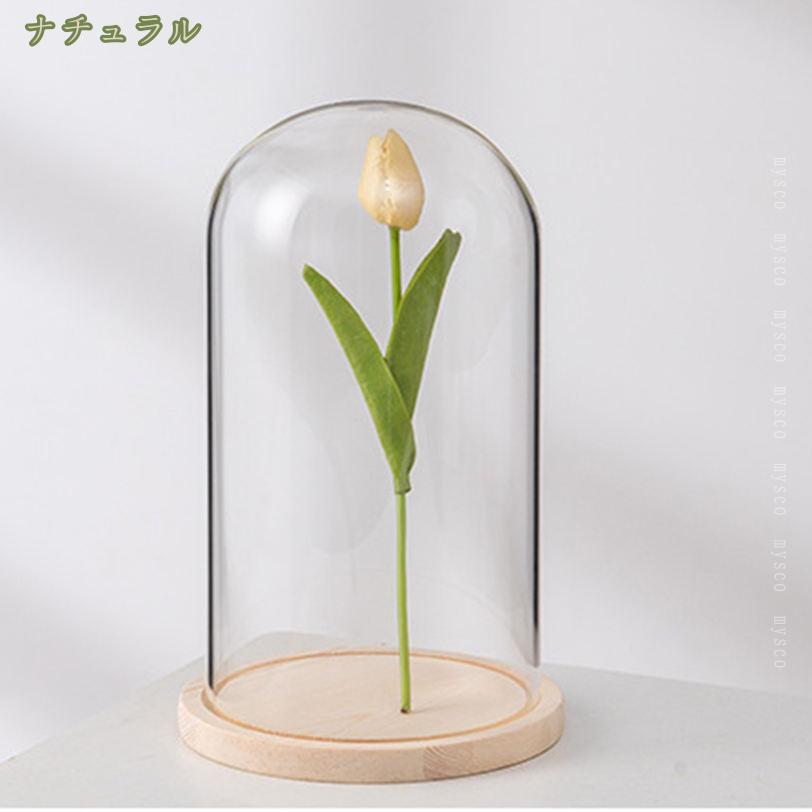 まいすこ　楽天市場店の300円OFFクーポン 透明ガラスドーム ガラス製 ドーム型 ディスプレイ 永生花 プリザーブドフラワー用 DIYミニチュア景観 フィギュア インテリア 防塵カバー 卓上装飾用 展示ケース ディスプレイケース プレゼント mysco｜アングル2