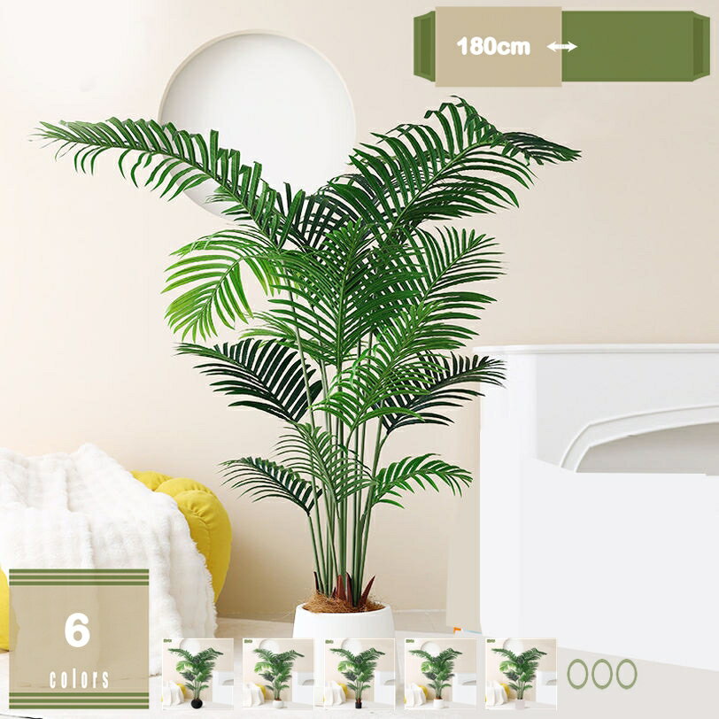 �ե��������꡼�� ���տ�ʪ �͹����տ�ʪ �͹����� �緿 �䥷 ����ƥꥢ �ꥢ�� ��ʪ���ä��� �Ϥ�ʤ����꡼�� �緿���� ����� �̲� ���� ���ˤ� ��Ź ...