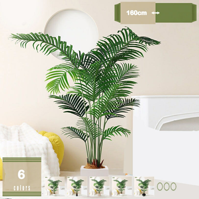 �͹��䥷���� �͹����տ�ʪ Ǯ�ӤΥ䥷���� Ǯ�ӿ�ʪ ���ե��� �ۡ��� ���� �ե��������꡼�� �礭�ʥ䥷���� �ϥ磻����ѡ��ƥ��� �ۡ��४�ե��� ��ӥ󥰥�...