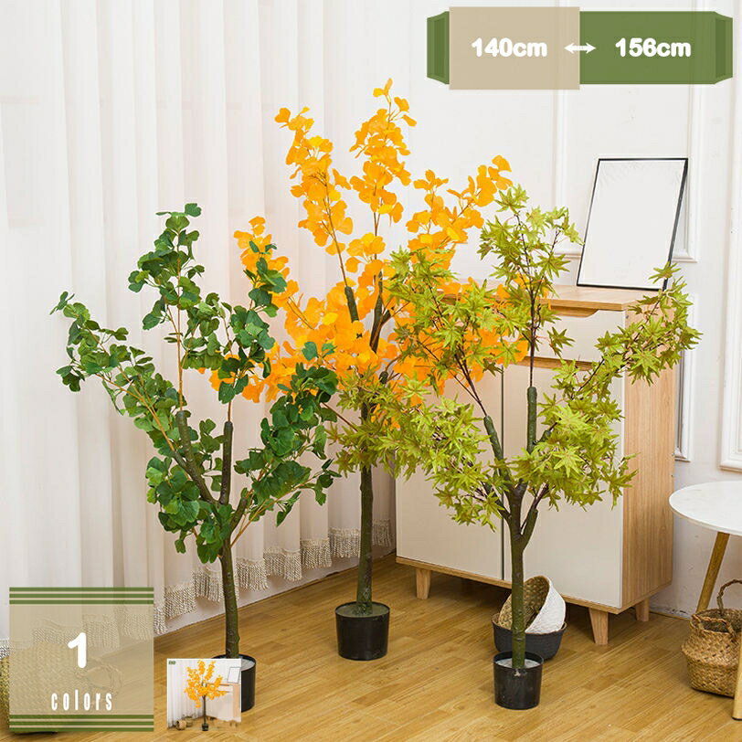 �ե��������꡼�� ���տ�ʪ�ե����� �͹����տ�ʪ ����ȥ�� Ź�� �͹����ռ� �ꥢ�� �礭�� ȭ�դ� ������������ ����ץ� ���ե��� ��ӥ� ���� ����...