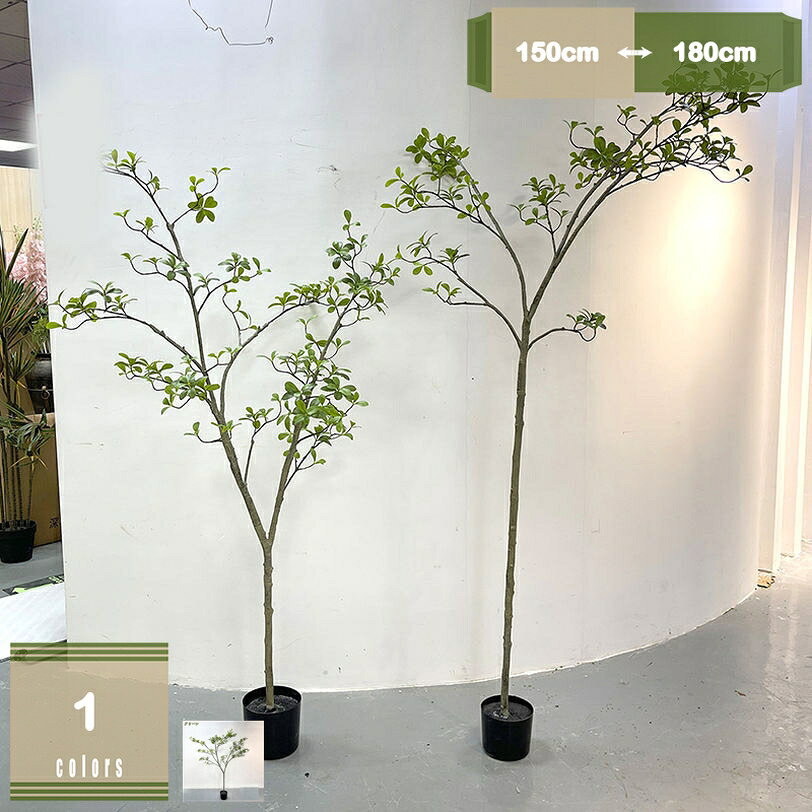 フェイクグリーン 観葉植物 フェイク 造花 人工観葉植物 大型 ホテル インテリア リアル おしゃれ お祝い 樹 木 室内 オフィス 部屋 シンプル 観葉樹 鉢付き リビング 玄関 引越し祝い プレゼント 母の日 mysco