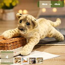 500円OFFクーポン ぬいぐるみ 小さい 虎 タイガー かわいい 動物 可愛い とらぬいぐるみ虎縫い包み とら抱き枕 お祝い ふわふわぬいぐるみ おもちゃ 洗...