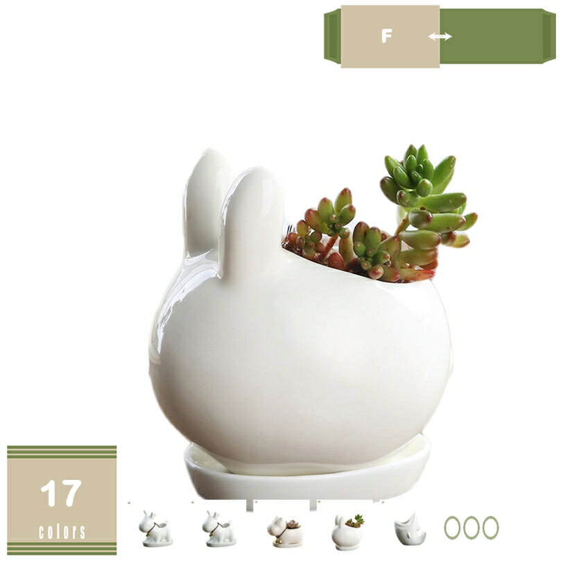 樂天商城 - 500円OFFクーポン 植木鉢 おしゃれ INS風おしゃれツートンカラーの陶器鉢 14cm 観葉植物 鉢 観葉植物の鉢 4号 陶器 植木鉢 おしゃれ 鉢植え 植え替え おしゃれな植木鉢 土 ガーデニング 室内 小さい 小さめ ミニ ミニ鉢 白 mysco