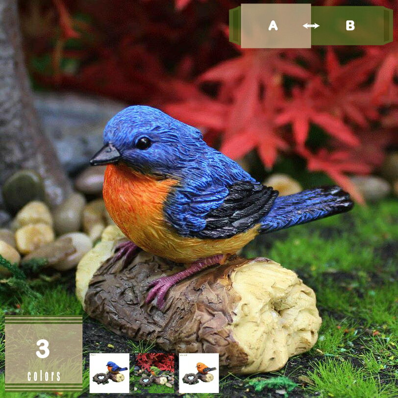 300��OFF�����ݥ� Ļ����ʪ �ޥ����å� ��ʪ �����ǥ˥� ��ʪ ��Ļ �����ǥ󥪡��ʥ��� Ļ ���� ������ ���֥��� �����ʥ��� ����ƥꥢ ���� ...