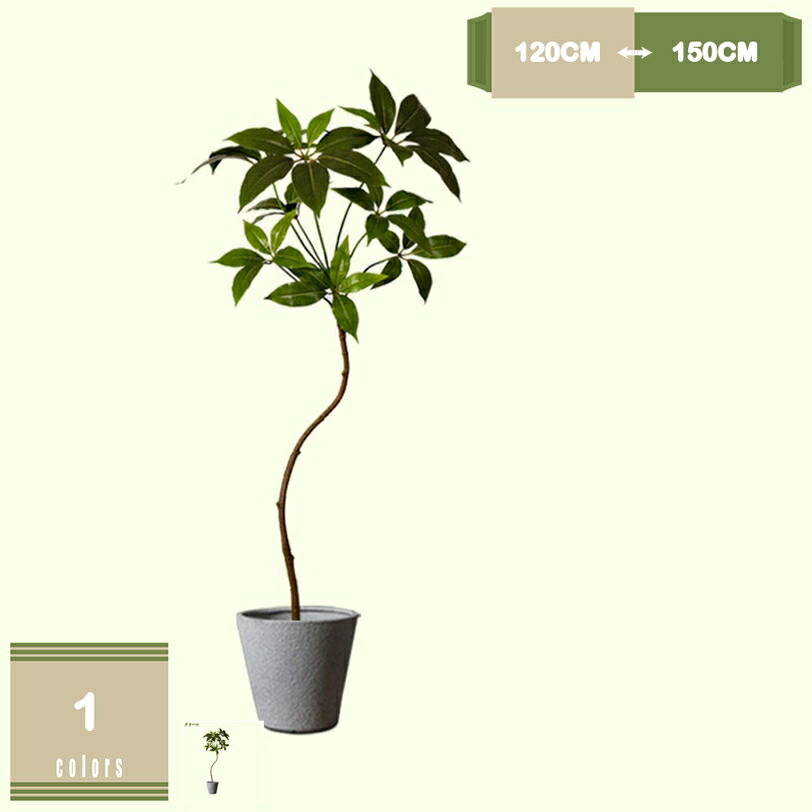 1000円OFFクーポンフェイクグ...