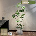 熱帯観葉樹 人工観葉植物 フェイクグリーン フェイク 高さ180CM 大型サイズ 簡単世話いらず 鉢 インテリア 屋内 リビング オフィス 飾り おしゃれ 水や...