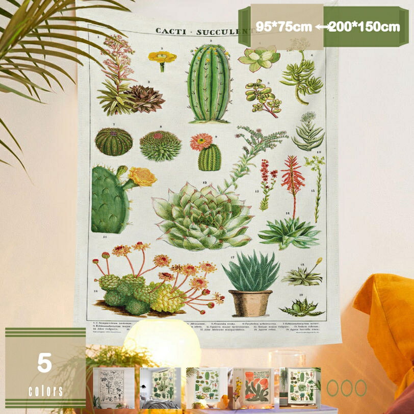 ���ڥ��ȥ꡼ �ɳݤ� ������쥤��ƥꥢ ���� �ɾ��꾮ʪ �������ֻ��ڤꥫ���ƥ� ¿��ǽ �ۥݥ����� ʷ�ϵ��Ѥ�뼫��䤪Ź������ ����ˤ������ץ쥼��� ��...