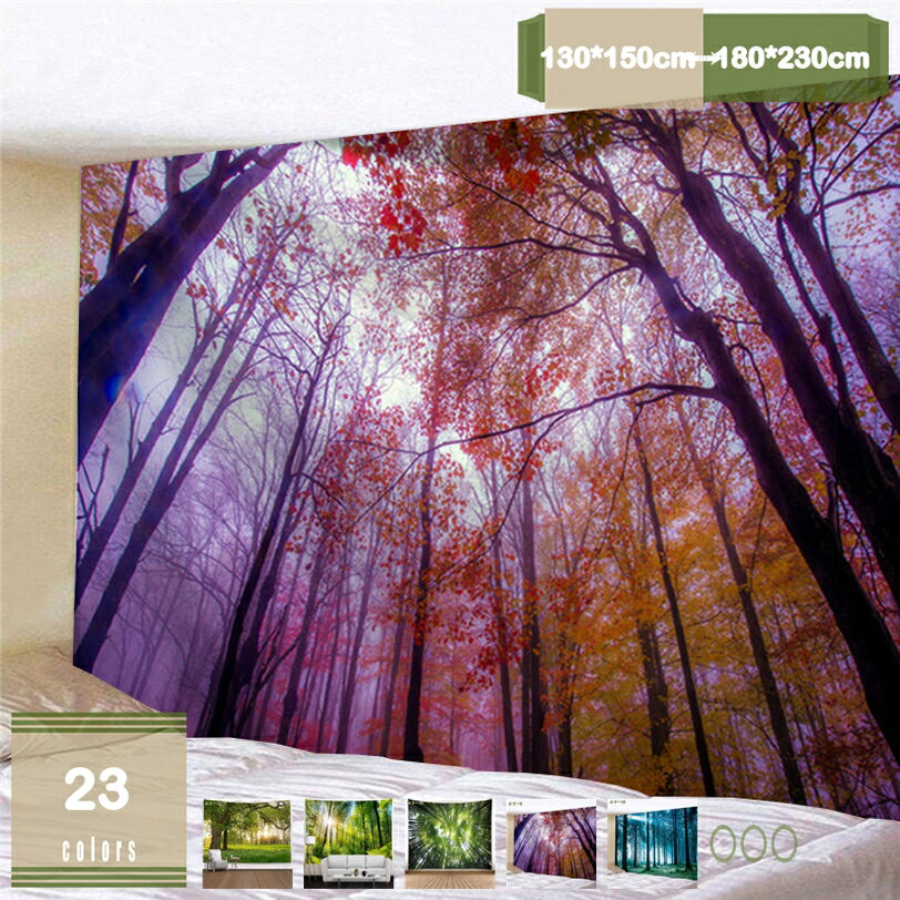 ���ʲ� ���ڥ��ȥ꡼ �������� ���� �� ����ƶ ή��Ƥ��뾮�� �ɳݤ� ������� ����ƥꥢ �ۡ������� ¿��ǽ �������� �ۥݥ����� ��ӥ� ��Ź ��� ...