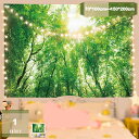 森の光 タペストリー 木 自然風景 大判 壁掛け 風景画タペストリー 新緑の並木 多機能壁掛け モダンなアート 布ポスター 模様替え 部屋 窓 カーテン 新居祝い お店 個性ギフト モダン 窓カーテン おしゃれ mysco