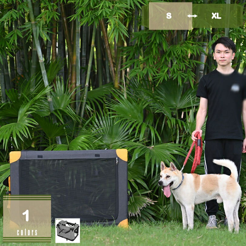 ǭ ����꡼������ ǭ�Ⱦ������ΥХå��ѥå� �緿ǭ���������ѥڥåȥ���꡼�Хå� ���� ����꡼ 4�̥�å��� �̵������ѵ��� ���̤ǻ������Ӥ���ñ�� ι��...