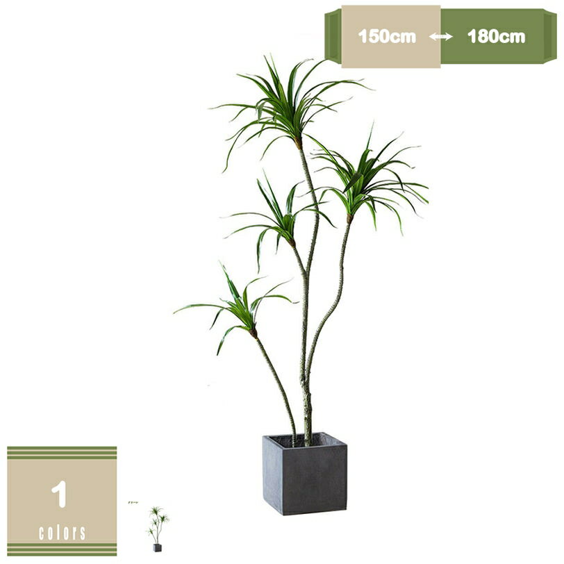 �͹����տ�ʪ �緿 ȭ�դ� �ե��������꡼���� �����б� �������� Ĵ����ǽ ��Ź�ˤ� ���۽ˤ� ��������ե� ��ʪ ����ȭ ����ʤ� �� ���� ���� ����...