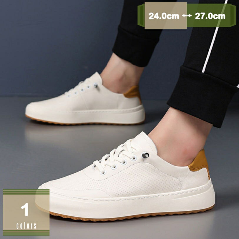 1000円OFFクーポン カジュアルシューズ メンズ 革靴 スニーカー 軽量 レースアップシューズ 靴 防水 軽量 幅広 紳士靴 おしゃれ デッキシューズ 無地 アウトドア ウオーキングシューズ ジュニア スニーカー 滑り止め シンプル mysco