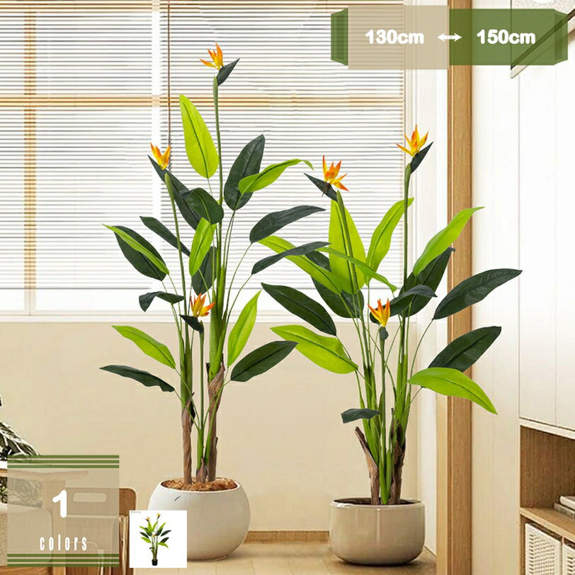 1000円OFFクーポンゴクラクチ...