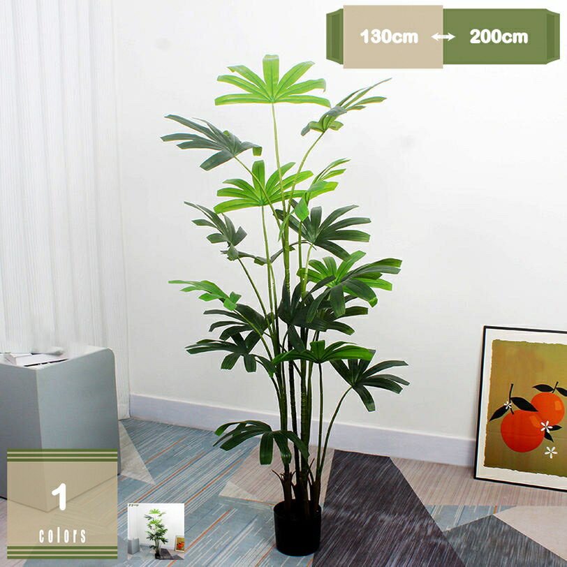 777円OFFクーポン フェイクグリーン 観葉植物 カンノンチク 人工観葉植物 水やり不要 インテリア オシャレ インテリアグリーン 鉢なし 本物そっくり おしゃれ リアル 消臭 抗菌 鉢植え 玄関 お祝い 開店祝い 造花飾り 造花 人工植物 ホームデコレーション mysco