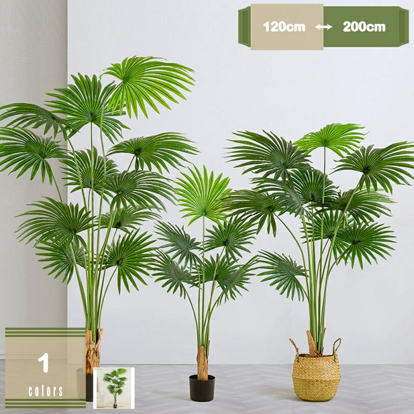 777円OFFクーポンビロウフェイ...