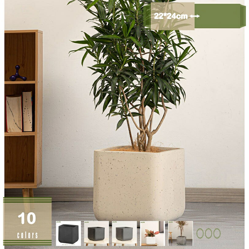 メイン素材：セメント「※植物は含まれません」【商品名】プランター（穴あり）【素材】セメント製【サイズ】●口径（22cm）高（24cm）屋外でも全然大丈夫。セメント素材でできており、丈夫で耐久性があり、自然で美しい色で、雨の中で滑らかで完全で、耐久性があります。ガジュマル、サンスベリア、パキラなどの観葉植物、サボテン、ハオルチアなどの多肉植物の鉢植えとして、またフェイクグリーン、インテリアグリーンなどにも使用できます。庭の装飾、リビング、ダイニング 、花壇、芝生のデコレーション、階段の装飾品、庭アート飾り、屋外の飾り物、ゼントルームの装飾......その他家の多くの場所として使用するのに適しています。御挨拶・引越し・贈答・新築・転勤・祝用・誕生日・記念日・卒業などの場合、素敵なギフトとして園芸が上手な友達やご家族、先生、上司に送っても最適です。【商品名】 ：プランター 【素材】：セメント製 【サイズ】 ●口径（22cm）高（24cm） ※植物は含まれません ●屋外でも全然大丈夫。セメント素材でできており、丈夫で耐久性があり、自然で美しい色で、雨の中で滑らかで完全で、耐久性があります。 ●おしゃれな外観が特徴で、植物の所有者の素敵な甘い雰囲気が増し、お気に入りの植物を非常によく表示できます。 ●底穴があり、排水に便利です。通気性がよく、根茎の呼吸が楽になり、植物の健康を保ちます。 ●庭の装飾、リビング、ダイニング 、花壇、芝生のデコレーション、階段の装飾品、庭アート飾り...その他家の多くの場所として使用するのに適しています。 ■ キーワード： 装飾プランター 鉢 サボテン鉢 セラミック 草花 寄せ植え 観葉植物鉢 大型植木鉢 屋内植木鉢 植木鉢 室内用プランター 観葉植物植木鉢 多肉植物用植木鉢 多肉植物容器 多肉植物ポット 多肉容器 鉢植え 野菜栽培 プランター フラワーポット スタイリッシュ 容量たっぷり サボテンポット 陶器 ガーデンポット プラントポット 植物用プラントポット 園芸用品 園芸鉢 ハーブ鉢 花鉢 インテリア鉢 大きい 庭木鉢 ガーデン用品 室内屋外用 ガーデニング用品 アンティーク プランター用受皿 フラワーバスケット 北欧 鉢カバー 鉢植えカバー プランターカバー セメントプランター 樹脂プランター プラ鉢 陶器鉢 おしゃれな植木鉢 背の高い植木鉢 通気性がよい以下内容は照会専用であり、製品詳細説明ではありません。実際の状況植木鉢 可愛い 動物 5号 3号 小さい おしゃれ 多肉植物 かわいい 小型 スクエア 陶器 4号 7号 背の高い植木鉢 背が高い ブリキ 底穴あり 自転車 ポット 大型 黒 白 水 吸収 17号鉢 おしゃれ 大型 8号 10号 6号 陶器 5号 テラコッタ 受け皿 4号 室内 北欧 屋外 白 黒 3号 アウトレット 軽量 深型 プラスチック セット 丸 皿 観葉植物 グレー 受け皿付き 穴なし植木鉢 20センチ 室内 大きい ロング 9号 可愛い 陶器 まとめ買い 10号 屋外 動物 グレー おしゃれ 大型 和風 受け皿 4号 白 四角 丸 背高 プラスチック ブリキ 水 多肉植物植木 苗 鉢・プランター 鉢皿 長方形 3号鉢 5個 big cover plants size white おしゃれ植木鉢 インテリア スリット バラ パキラ プランターポット プランター台 プランター大型 プランター鉢