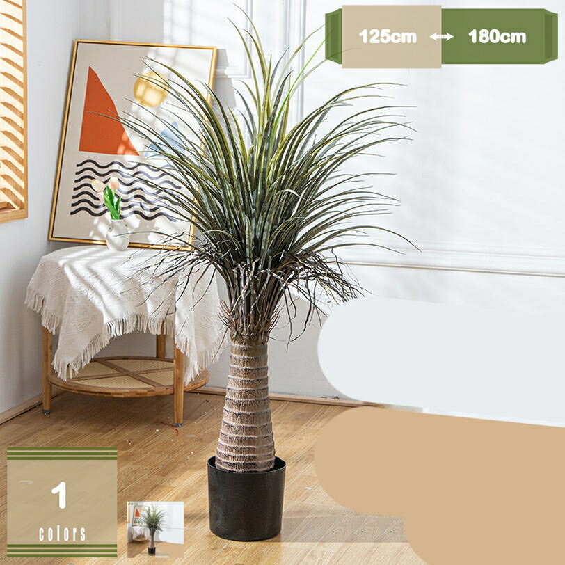 1000円OFFクーポン 竜血樹 屋外用 観葉植物 庭木 植木 常緑樹 常緑高木 フェイクグリーン 人工観葉樹 造花 シンプル オフィス 室内 モダン インテリア 大型 おしゃれ 枯れない花 害虫駆除不要 鉢植え お手入れ簡単 mysco