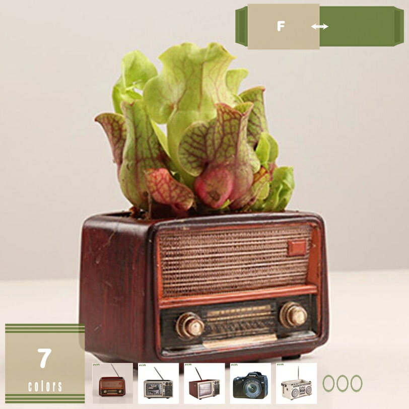 500円OFFクーポン 植木鉢 多肉植物鉢 サボテン鉢 樹脂材質 ミニ盆栽 超ミニ ミニ植物適用 観葉植物 鉢 受け皿 インテリア ベランダ オフィス 部屋飾り ギフト おしゃれなデザイン オブジェ オーナメント プランター フラワーポット マイクロ mysco