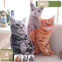 780円OFFクーポン ぬいぐるみ 猫 可愛いねこ 動物 大きい ネコぬいぐるみ 猫縫い包み 猫抱き枕 お祝い ふわふわ ぬいぐるみ 抱き枕 ぬいぐるみ 猫 おもちゃ ソフト 柔らかい 抱き枕 洗える かわいい 萌え 癒し系 添い寝 mysco