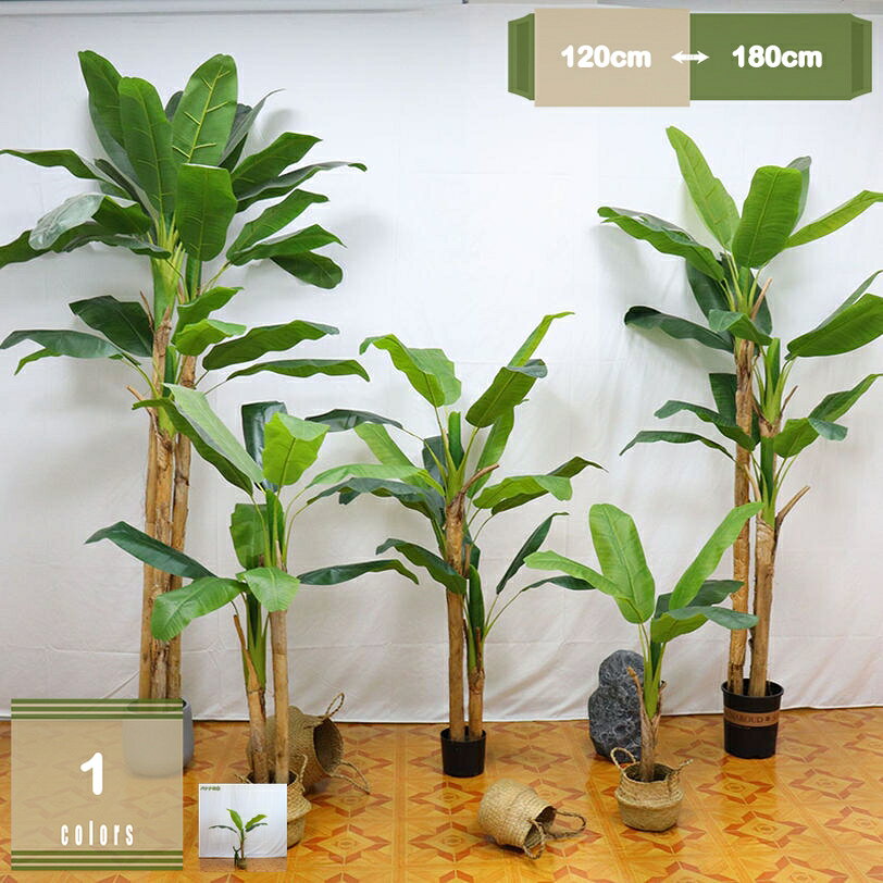 メイン素材：プラスチック、鉄【1、】一、プランターは写真をご参照ください。【120cm（1つの幹木）、150cm（2つの幹木）、A175cm（3つの幹木）、B175cm（4つの幹木）、C175cm（5つの幹木）。】二、セットでご購入の場合、サイズの関係上、人工植物1パックと鉢1パックをお届けします。三、商品を受け取った後はご自身で組み立てる必要があります。【2、】リアル。植物そのものの柔らかな緑色を使い、フレッシュでナチュラルな雰囲気に仕上げました。実際の植物の生育特性をシミュレートし、植物の実際の成長特性や鮮やかな葉の色に応じた、リアルな手触りを再現しています。【3、】大切な方へのお誕生日プレゼント、開店祝い、新築祝い、引越し祝いにも最適です。ご自宅用はもちろん、オフィス、図書館、ショップ、バルコニー、または配置したい場所に最適です。【5、】簡単な組み立て。輸送を容易にするため、開封後に簡単の組み立てが必要になります。葉っぱを曲げて、お好みによって、小幅に枝葉の角度を調整できます。場所によって本物と見分けがつかないほど密集した枝葉が特徴で、近くで見ると細部までリアルに再現されています。【4、】季節を問わず置けて、室内で視覚的に植物を楽しめます。人工観葉植物は、家、オフィス、キッチン、寝室、リビングルーム、バスルーム、バルコニー、または配置したい場所に最適です。注意点： 1：葉を枝に差し込んで組み立ててください。 2：高さはパッケージの高さではなく、商品全体の高さを指します。 3：枝葉を畳んでおするため、枝葉の広げ方によってデザインやサイズが異なってきます。 4：直射日光は、花の色落ちや色落ちがありますので、なるべく室内の直射日光の当たらないところに置いてください。 5：開封後、風通しの良い場所で少し広げると、徐々に臭いが消えていきます。 本物のような精巧なつくりの人工観葉植物です。生花とは違い枯れないので、優美な姿が変わることなくあなたを魅了し続けます。 人工観葉植物なので虫もつかず、枯れることなどもないのでお部屋などが汚れる心配もございません。ホコリがついたら湿布で拭くだけいいです。 【別の鉢に入れたい場合は固定された鉢よりも大きなものを用意】 完成品の場合本体は鉢に固定されています。本体を抜くと壊れてしまいます。お手持ちの鉢に入れたい場合、固定されている鉢よりも大きなものを用意して、鉢ごと入れてご利用ください。 【飾る場所・角度を決めて葉っぱがより多く見えるように調整】 到着時、葉が上向きとなっており、ボリュームも少なく見えてしまいます。商品は、写真と同じボリューム、葉の枚数でお作りしています。 しかし、調整具合や角度によって異なって見えます。飾りたい場所に置いてみて、鑑賞する角度を決めて、葉っぱの表面がより多く見えるように葉の角度を調整してみてください。 【お好みのデザインになるように1本ずつ調整】 枝の芯には「針金」が入っています。簡単に曲げたり伸ばしたりできます。ご希望のデザイン・樹形となるように1本ずつ調整してください。 元気な姿を再現したい場合、枝葉は元気よく上向きに。自然な姿を再現したい場合、枝先が徐々に重力で垂れるように。お好みのデザインに楽しみながら仕上げてお飾りください。 【お祝いに喜ばれます】 ご自宅用はもちろん、大切な方へのお誕生日プレゼント、開店祝い、開業祝い、開院祝い、移転祝い、周年祝い、開設祝い、開校祝い、就任祝い、新築祝い、改装祝い、改築祝い、引っ越し祝いなど各種御祝いに。以下内容は照会専用であり、製品詳細説明ではありません。実際の状況引越し祝い プレゼント フェイクツリー お手入れ簡単 水やり不要 人工樹木 観葉植物 大きい フェイクグリーン 観葉植物 室内用 おしゃれ 盆栽植物人工観葉植物 フェイク 造木 シンプル オフィス 室内 インテリア お祝い 開業祝い 引越し祝い フェイクグリーン お手入れ簡単 水やり不要 枯れない緑のある暮らし 引っ越し祝い 新築祝い お手入れ簡単 水やり不要 常緑樹 ナチュラル 人工植物 人工観葉植物 人工植物 フェイクグリーン 大きいリビング インテリア 室内 木 大型観葉植物 人工植物 人工植物 人工観葉植物 インテリア 観葉植物 人工植物 イミテーショングリーン 大型 造樹