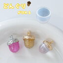 【シリコンモールド】どんぐり 秋 木の実 団栗 植物 季節 オータム どんぐりの実 レジン シリコン型 粘土型 キーホルダー 飾り物 エポキシ 樹脂 UVレジン...