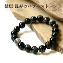 数珠ブレスレット 天眼石 パワーストーン 10mm メンズ レディース アクセサリー 天然石 天然 石 パワーストーン 健康運 長寿 てんがんせき ゴム