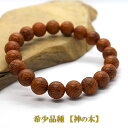 数珠ブレスレット 木 シンプル ゴム ナチュラル ドラセナドラコ ドラゴンツリー 10mm 数珠 アクセサリー 茶色 ブラウン ウッド 木 木製 メンズ レディ...