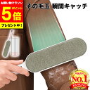 \今だけ!ポイント5倍/【高評価★楽天ランキング10冠獲得】洋服ブラシ 携帯用 エチケット 用 ブラシ 毛玉取りブラシ ホコリ取り ブラシ エチケット ハンディ...