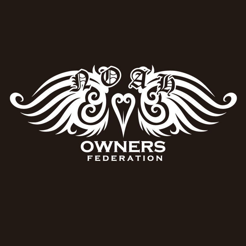 カッティングステッカー トヨタ（TOYOTA）ノア NOAH tribewing1 車 カー ステッカー アクセサリー シー..