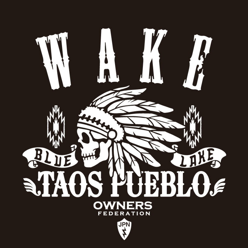 カッティングステッカー 290×290サイズ ダイハツ（DAIHATSU）WAKE ウェイク apache 車 カー ステッカー かっこいい おしゃれ アクセサリー シール ガラス オーダーメイド 転写[◆]