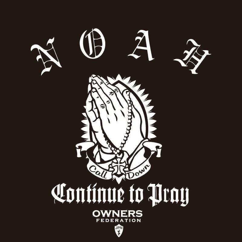 カッティングステッカー 410×350サイズ トヨタ（TOYOTA）ノア NOAH prayhands 車 カー ステッカー アクセサリー シール ガラス[◆]