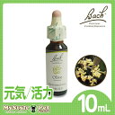 バッチフラワーレメディ オリーブ(OLIVE) 10ml(ペット 動物に フラワーエッセンス)