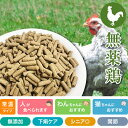 商品画像2