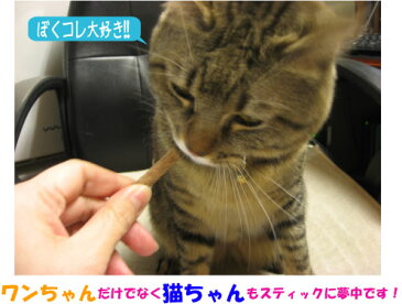 プライムケイズ どさんこほっけスティック 90g×3個セット【送料無料】おやつ 犬猫 国産 無添加