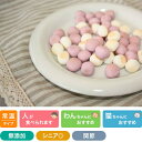 カルシウム村のブルーベリー農園 80g プライムケイズ おやつ 国産 無添加 犬用品 猫用品