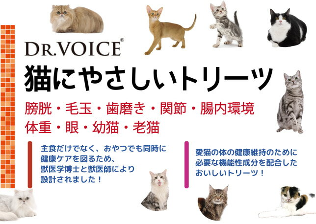 ドクターヴォイス Dr.Voice 猫にやさしいトリーツ 老猫の栄養サポート20g（キャット おやつ） 3