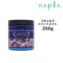 ナプラ ケアテクトHB スキャルプトリートメント 250g napla CARETECT HB