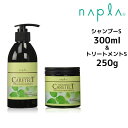 【クーポン配布中】ナプラ ケアテクトHB カラーシャンプーS<300mL>&カラートリートメントS <250g> セットnapla CARETECT HB