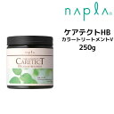 【クーポン配布中】ナプラ ケアテクトHB カラートリートメントV 250g napla CARETECT HB