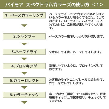 パイモア スペクトラムカラーズ ビビッドバイオレット <200g チューブ>πmore SPECTRUM COLORS ヘアカラートリートメント カラーリング サロン専売