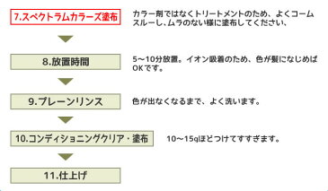 パイモア スペクトラムカラーズ ビビッドバイオレット <200g チューブ>πmore SPECTRUM COLORS ヘアカラートリートメント カラーリング サロン専売