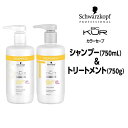 【新】シュワルツコフ BCクア カラーセーブ シャンプーa<750mL>&トリートメントa <750g>セット