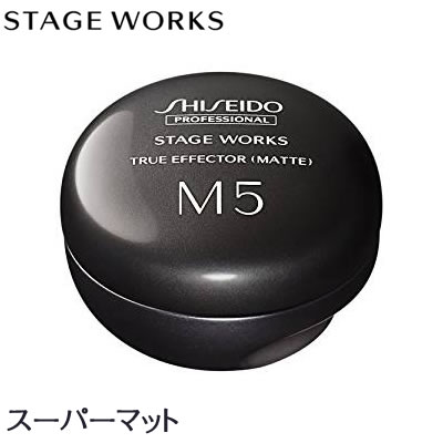 Ʋ ץեåʥ SHISEIDO PROFESSIONAL ơ ȥ롼եʥޥåȡ 80g