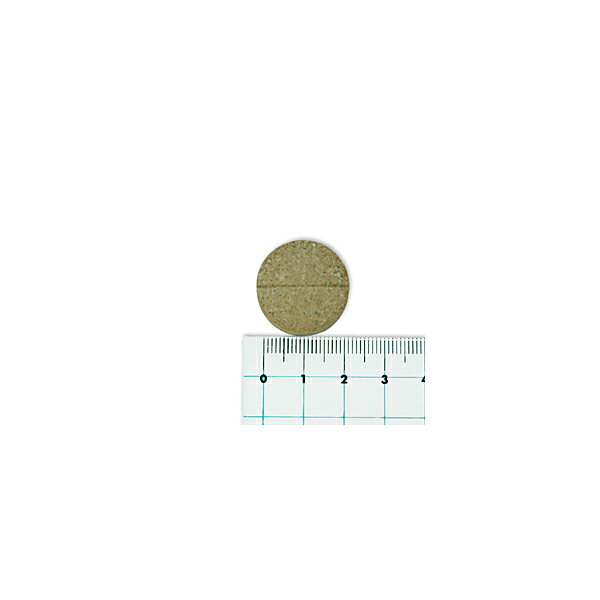 ネイチャーベット アースリアーマー 120粒 サプリメント 犬用 健康補助食品 （ペット用 サプリ 犬用品） mystyle-pet-10040663 MyStyleペットストア サンプル画像3