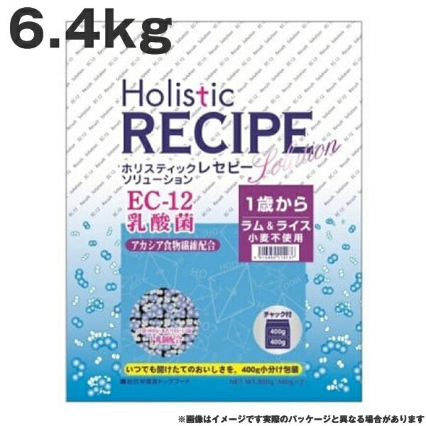 ホリスティックレセピー EC-12乳酸菌 ラム＆ライス 6.4kg