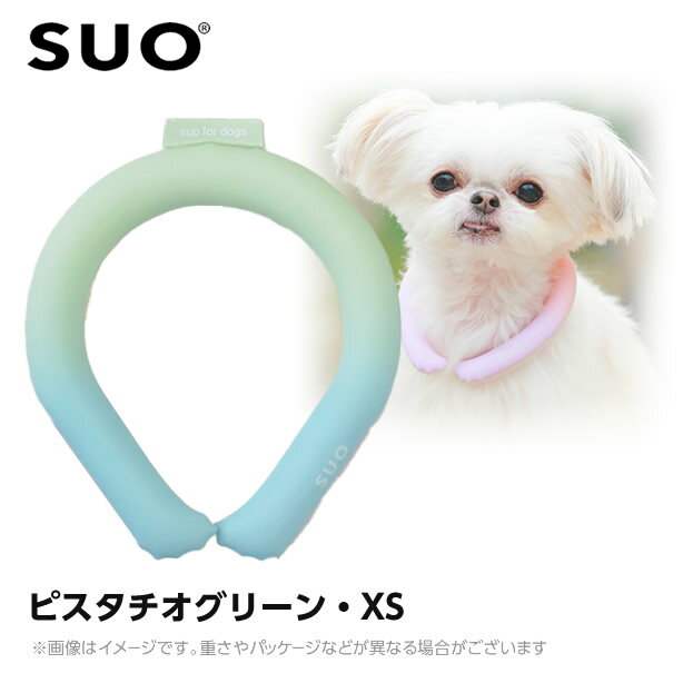 【メール便】SUO 28°アイスクールリング ボタンなし グラデーション XS ピスタチオグリーン （ネッククーラー 犬用 ひんやりグッズ 冷感アイテム）