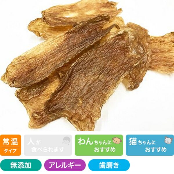 馬 GUMGUM 40g プライムケイズ おやつ 国産 無添加 犬用品 猫用品