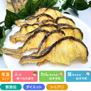 たらSAKUサクッ 40g プライムケイズ おやつ 国産 無添加 犬用品 猫用品 (低脂肪 ダイエット)